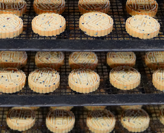 ABUIABACGAAg-aTa8AUogLzSnQYwwgQ40wM